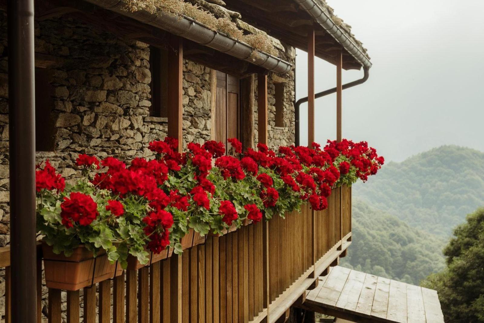 Rifugio Alpino Baudinet - Trek&Relax Bed & Breakfast Chiusa di Pesio Luaran gambar